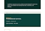 develop an ai website, custom ai software, or saas application